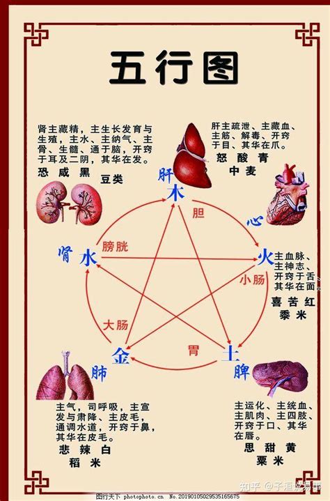 五行俱全|五行齐全的利与弊(初学者必备)